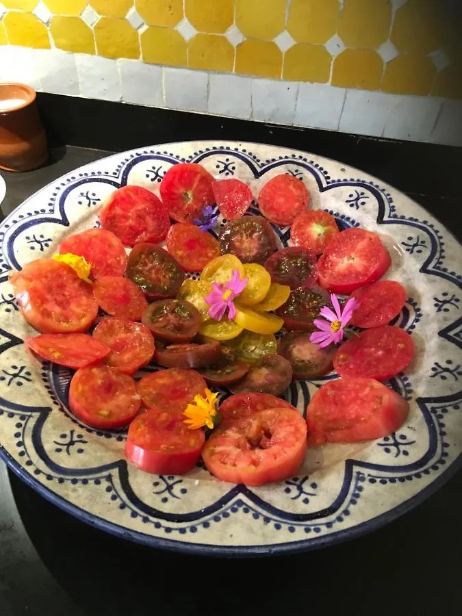 Riad Dar Awil Essaouira Guest house